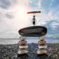 js脚﻿本‌大‍全​